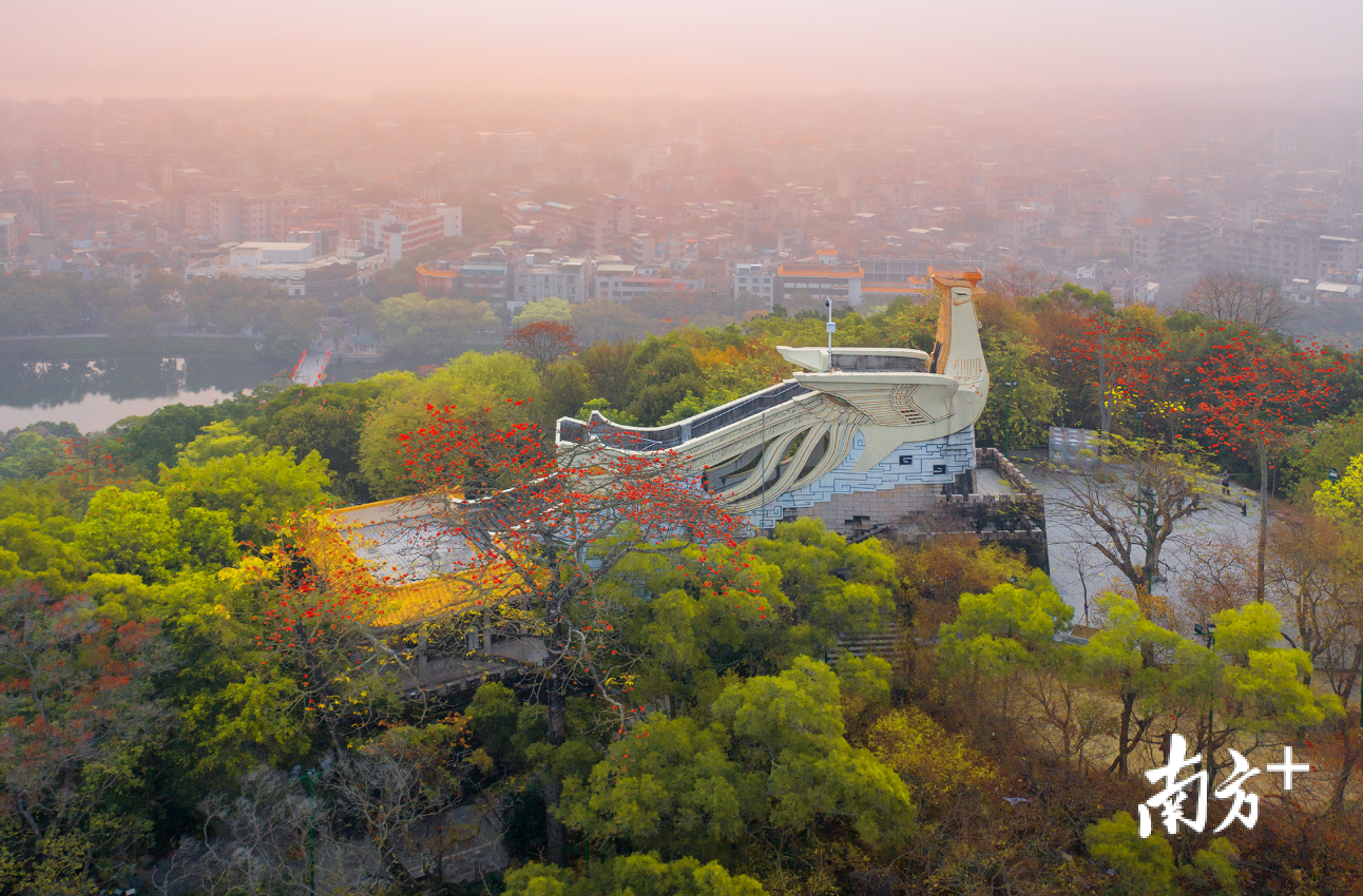 恰是春花烂漫时,请到凤城来