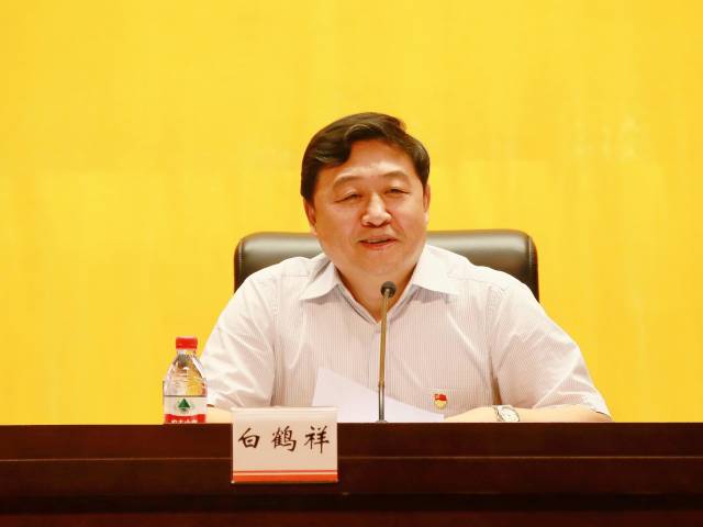 全国人大代表白鹤祥:加快推进粤港澳大湾区国际金融枢纽建设