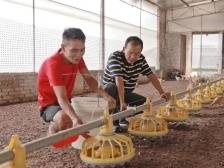 脱贫攻坚的金湾答卷：脱贫任务全部完成