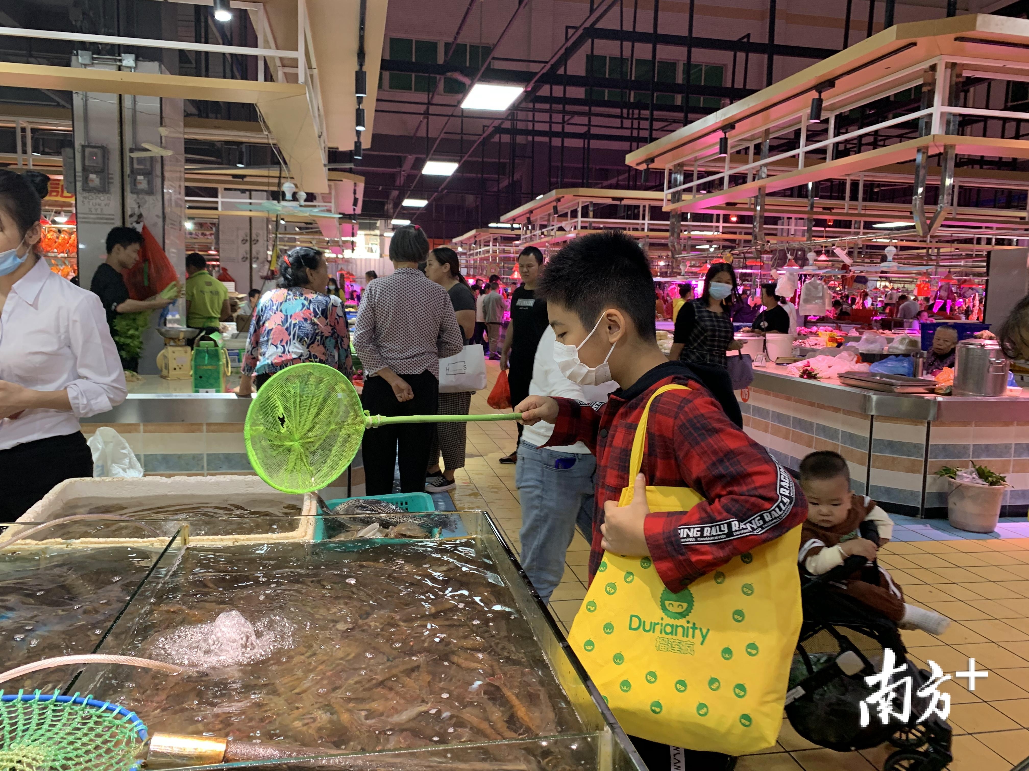 东坑镇中心小学学生假期参与家务劳动，前往农贸市场买菜。南方日报记者 孙俊杰 摄