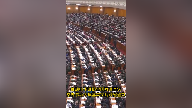 南方视频｜推动电子证照全国互通互认，常办事项今年基本实现跨省通办