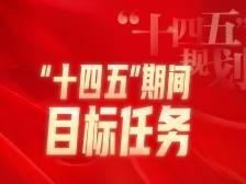 “十四五”期间有啥目标任务？总理这么说！