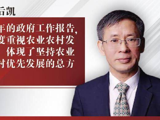 全国人大代表魏后凯：农业农村现代化需“一盘棋”考虑 产业现代化是关键也是保障