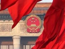 全国政协十三届四次会议第二次全体会议