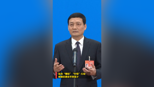 肖亚庆：实施“强链”“补链”行动，确保制造业不掉链子