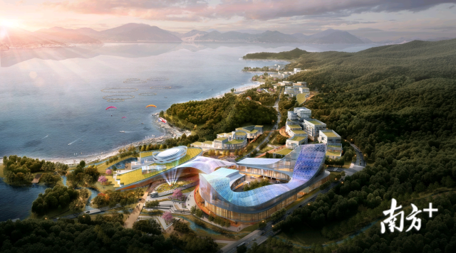 南方眼| 大鹏“黄金十年”开局:领军企业纷至沓来,重大项目再创新高