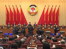 全国政协十三届四次会议视频会议（大会发言）