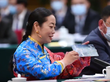 全国人大代表展示的“猫”究竟长什么样？