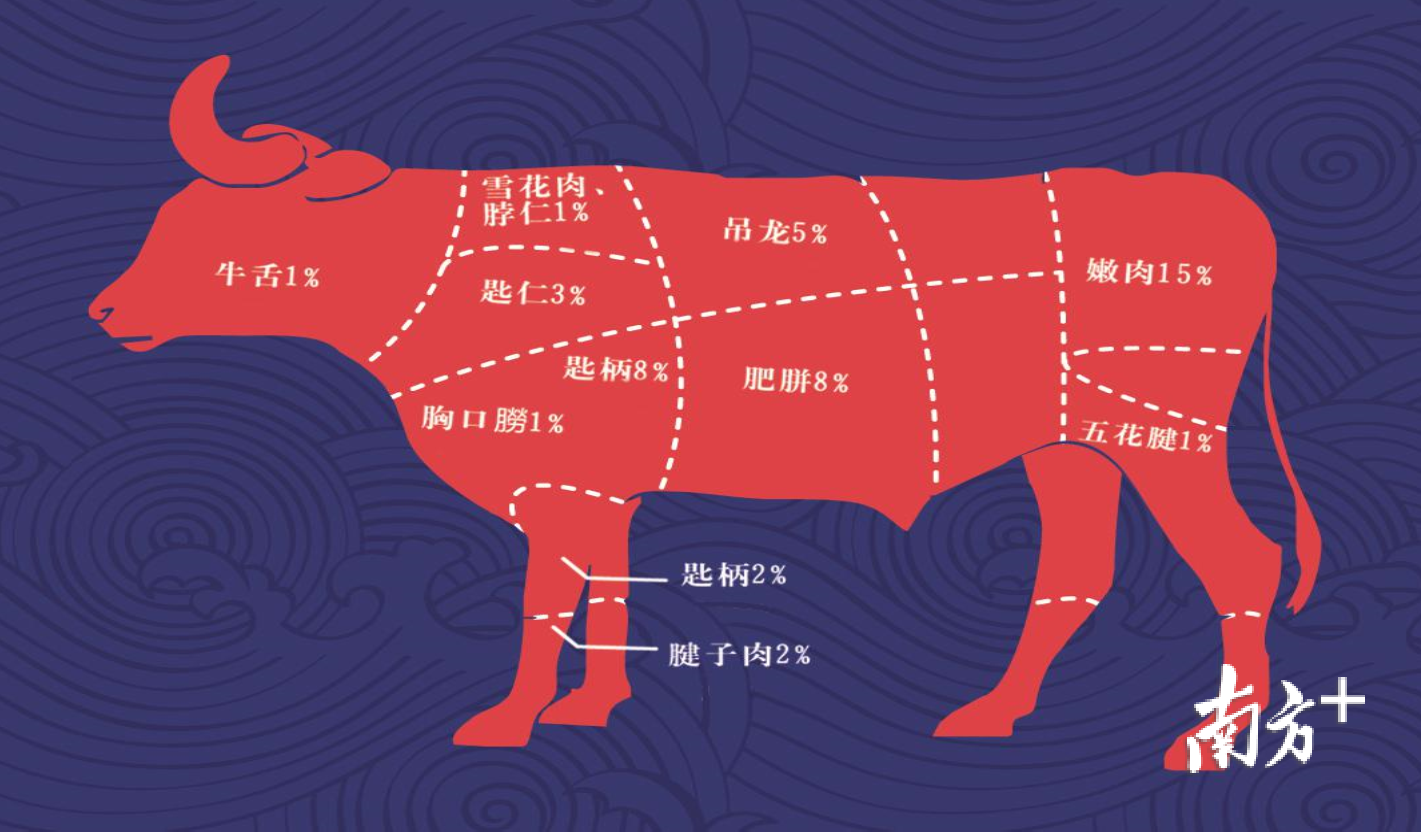 不同部位牛肉的分布图。