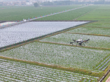 电白33人获评广东省农村乡土专家