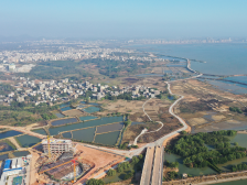 桥等路5年，路攻坚15天！登步大桥临时便道春节前建成通车|经典案例