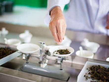 振兴中医药 破解临床评价和质量控制难题成关键