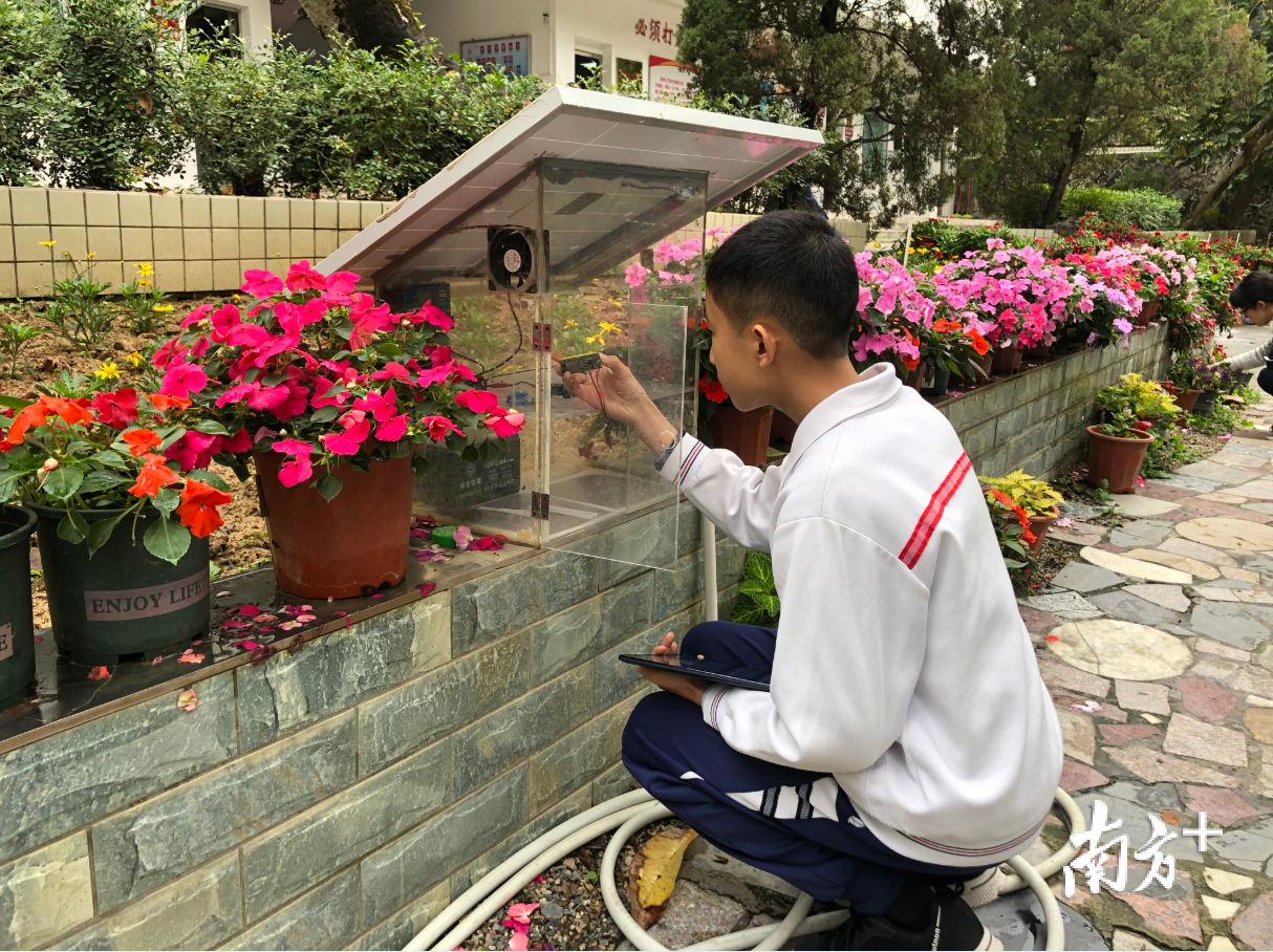 意溪中学的刘杭喆同学正在认真调试智慧农业园的远程控制系统。 黄敏璇 摄