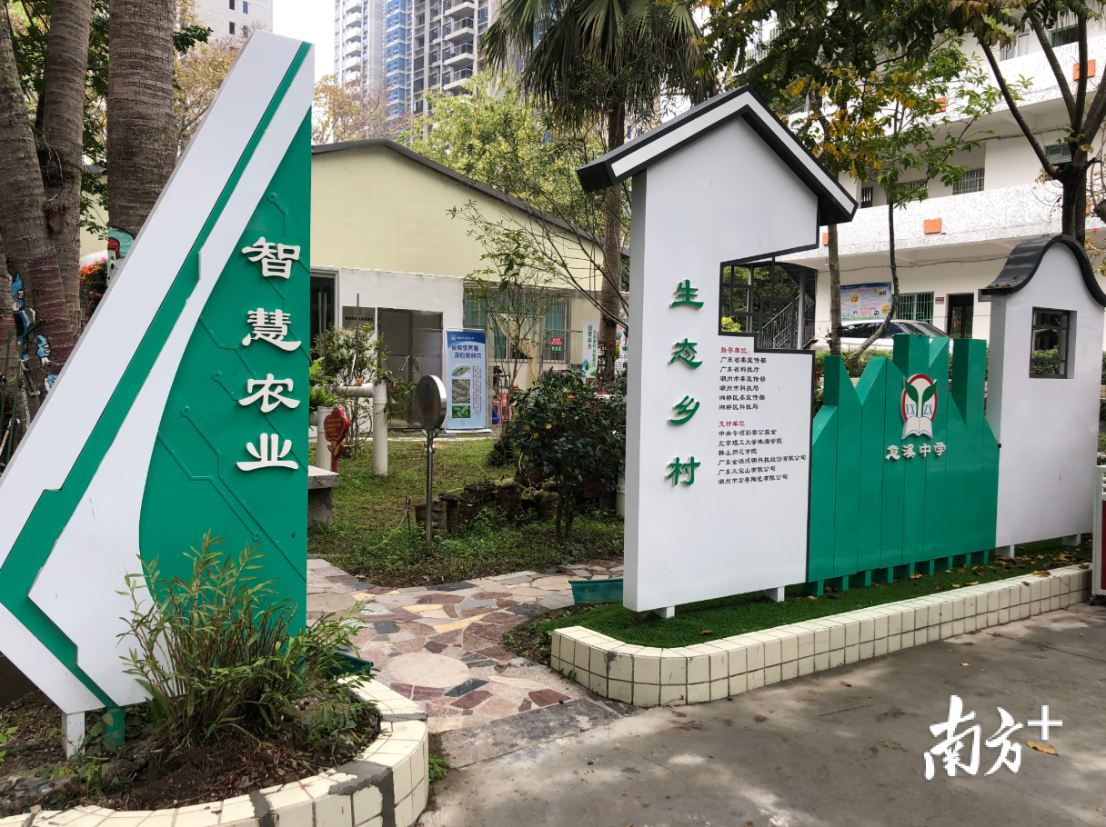 意溪中学智慧农业园。黄敏璇 摄