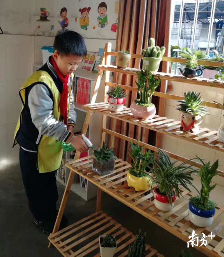 城南小学学生在实践中学习花艺种植知识。受访者供图