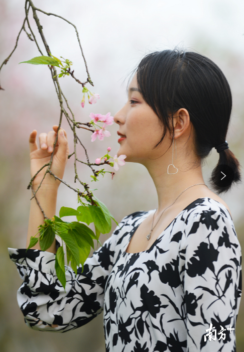 尽情享受樱花盛开带来的浪漫与唯美。