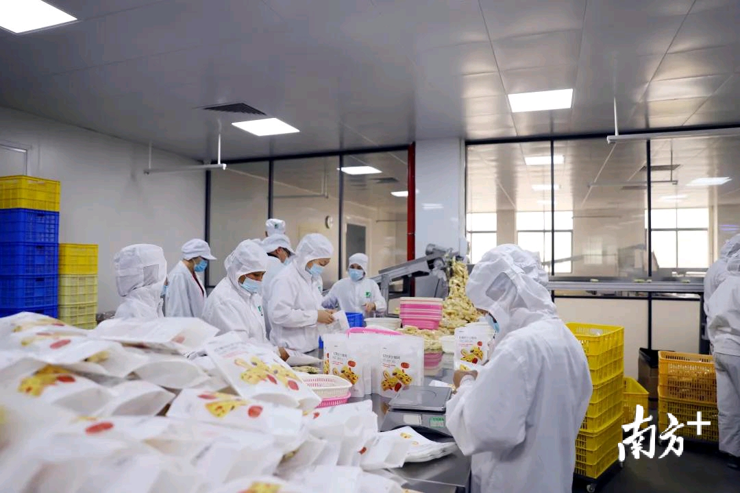 原野食品员工工作。通讯员供图