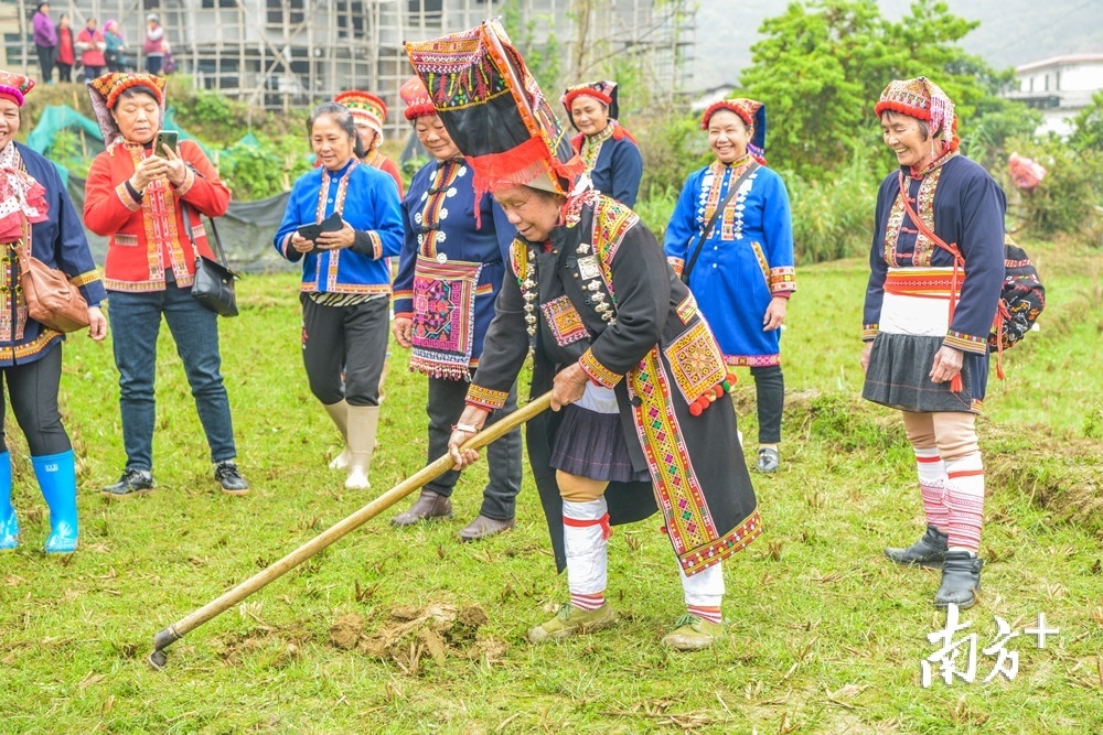 歌姆(最擅长唱瑶歌的长者)带头松土以示一年耕耘开始。通讯员供图 歌姆(最擅长唱瑶歌的长者)带头松土以示一年耕耘开始。通讯员供图
