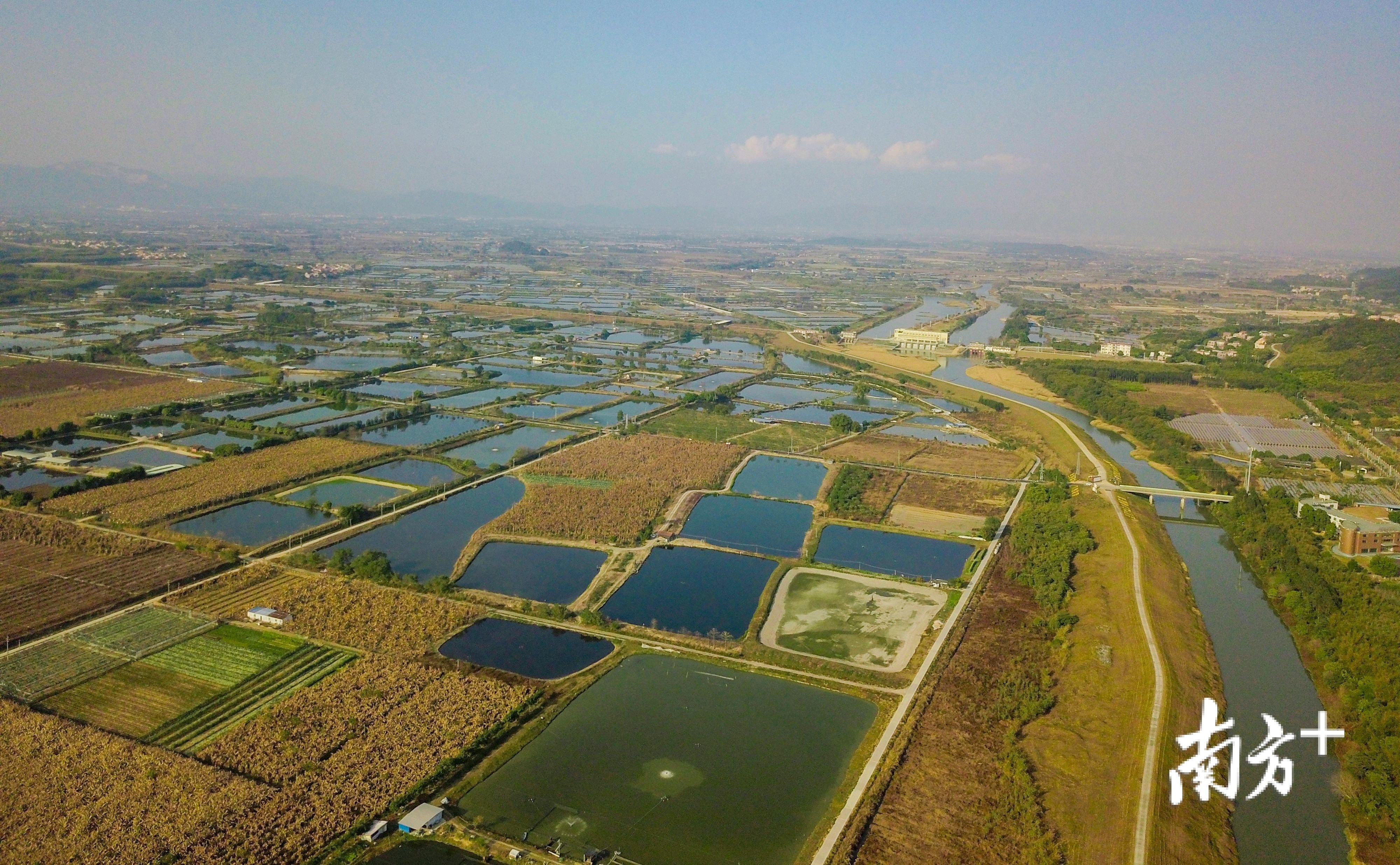 科技赋能将为南山农业生产带来新期待,实现南山农业品牌化。通讯员供图 科技赋能将为南山农业生产带来新期待,实现南山农业品牌化。通讯员供图