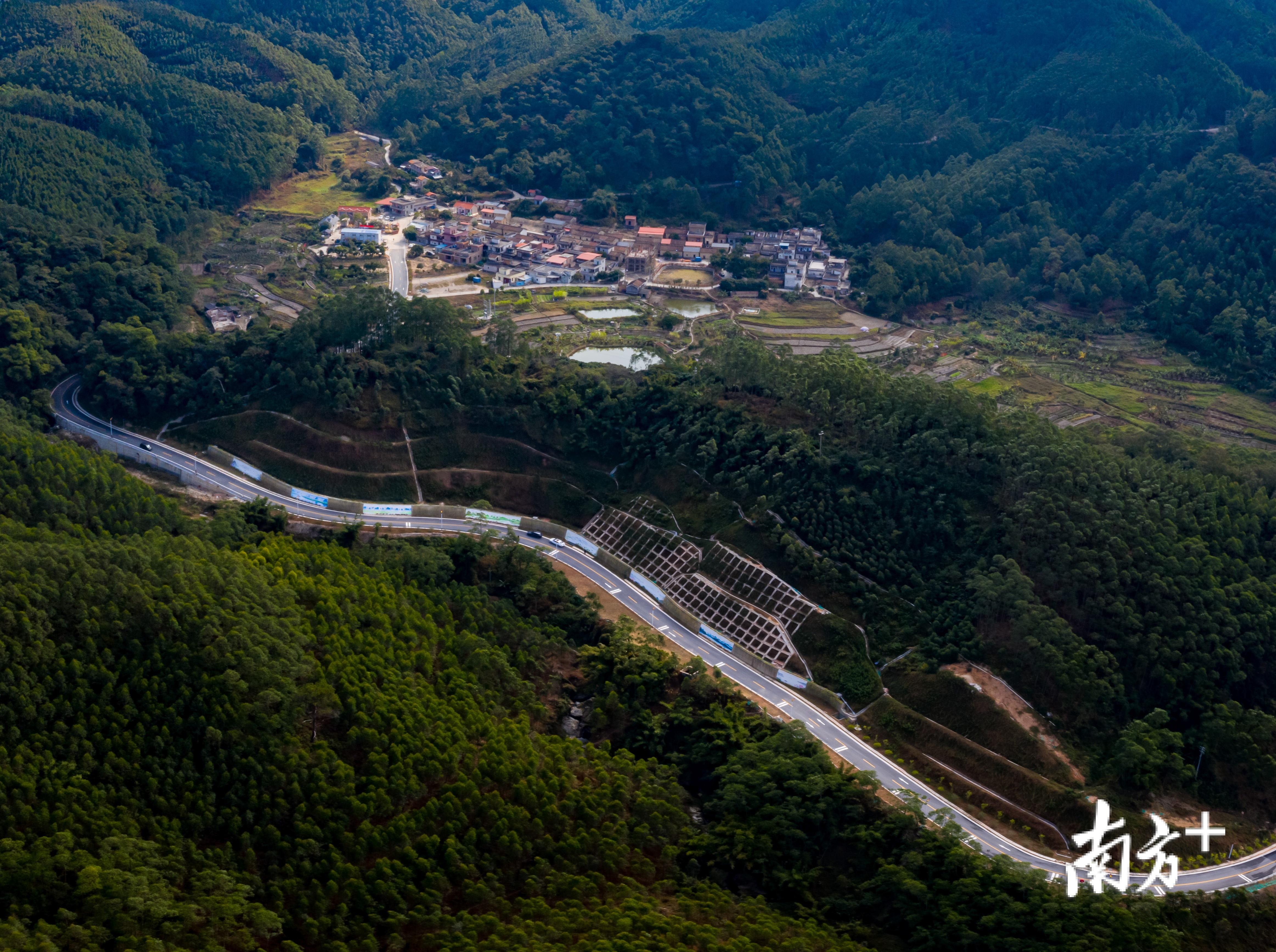 在绿色中蜿蜒的通景道路。谭杰才 摄
