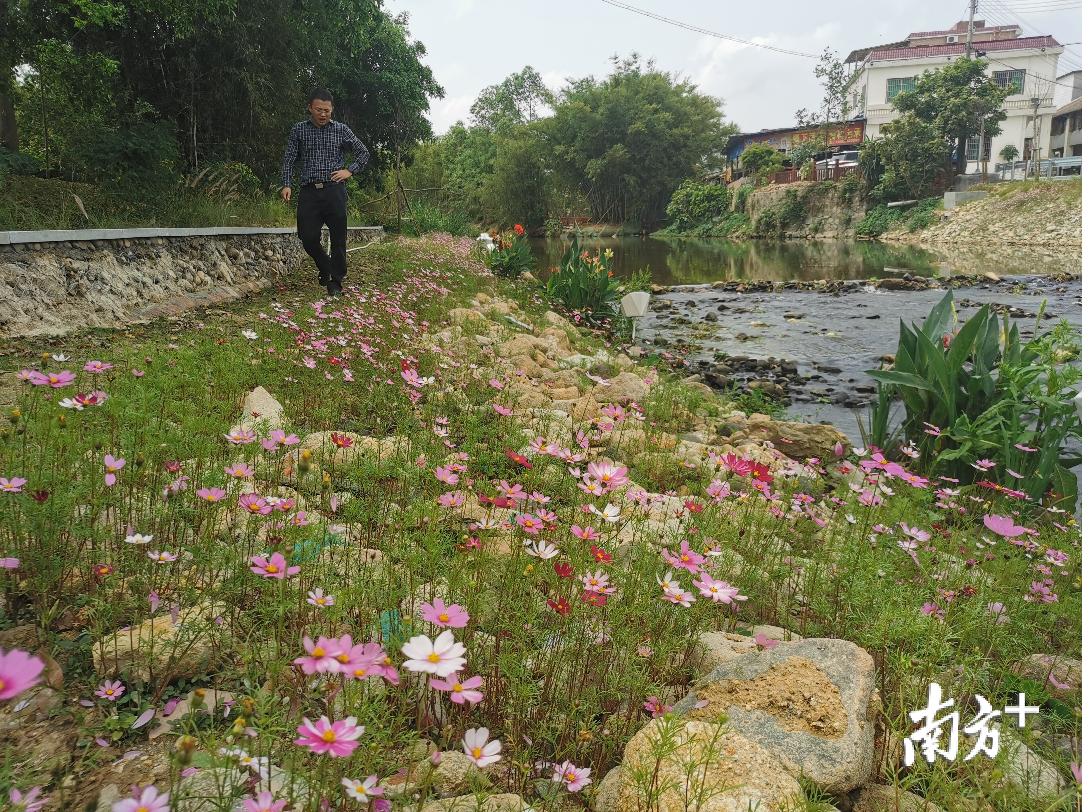 路边开满鲜花。盛正挺 摄