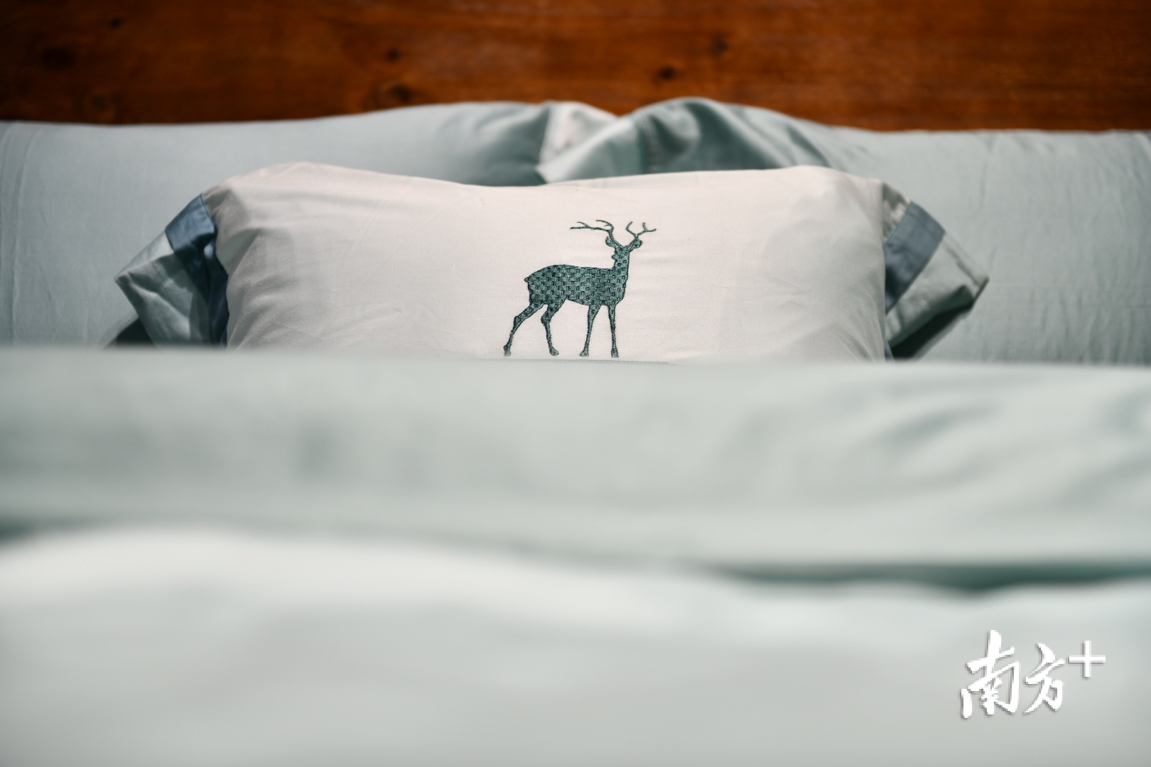 国内一线床上用品品牌企业的面料,多由东帝兴供应。 国内一线床上用品品牌企业的面料,多由东帝兴供应。