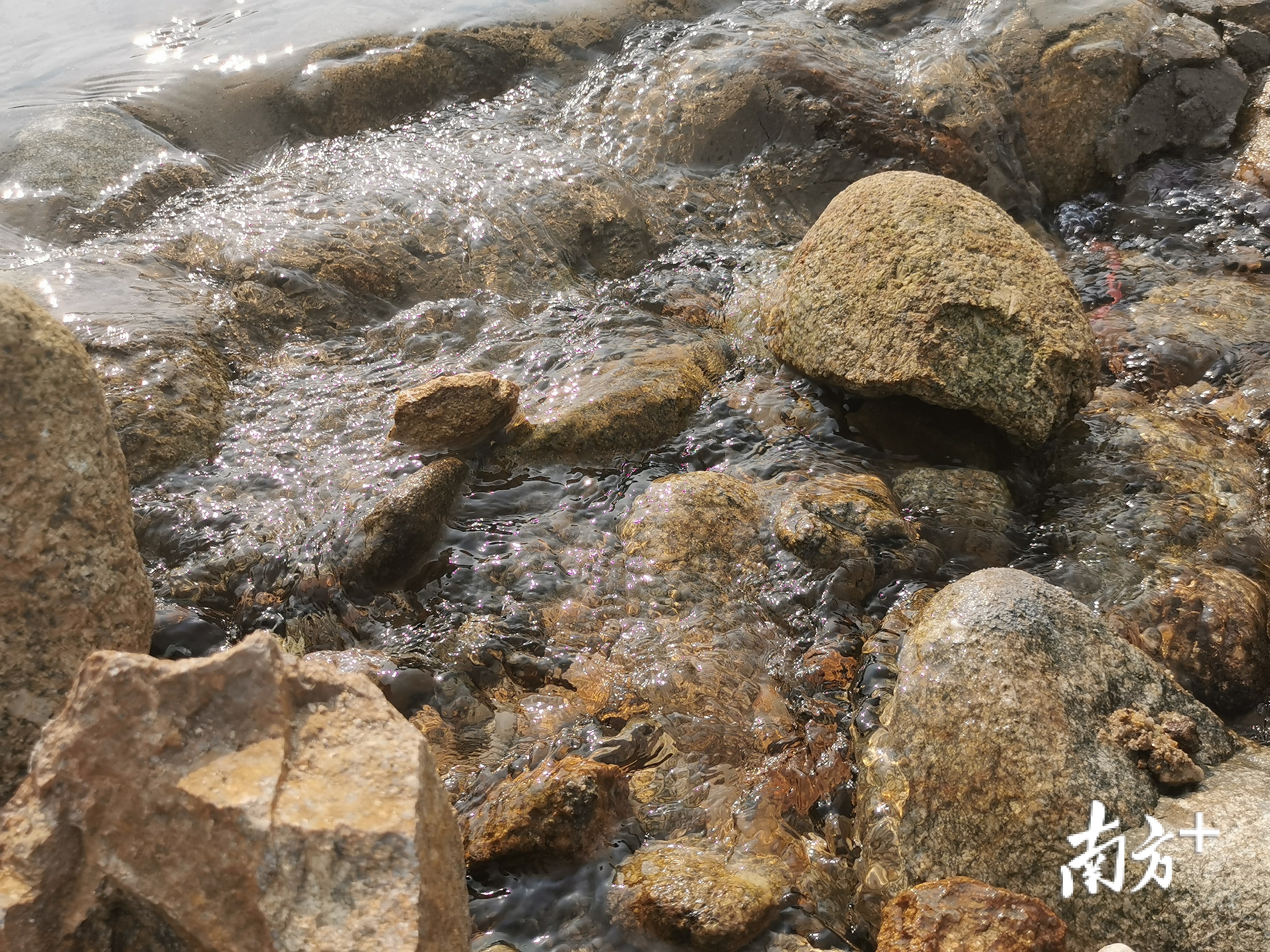 奔流的山坑水。盛正挺 摄