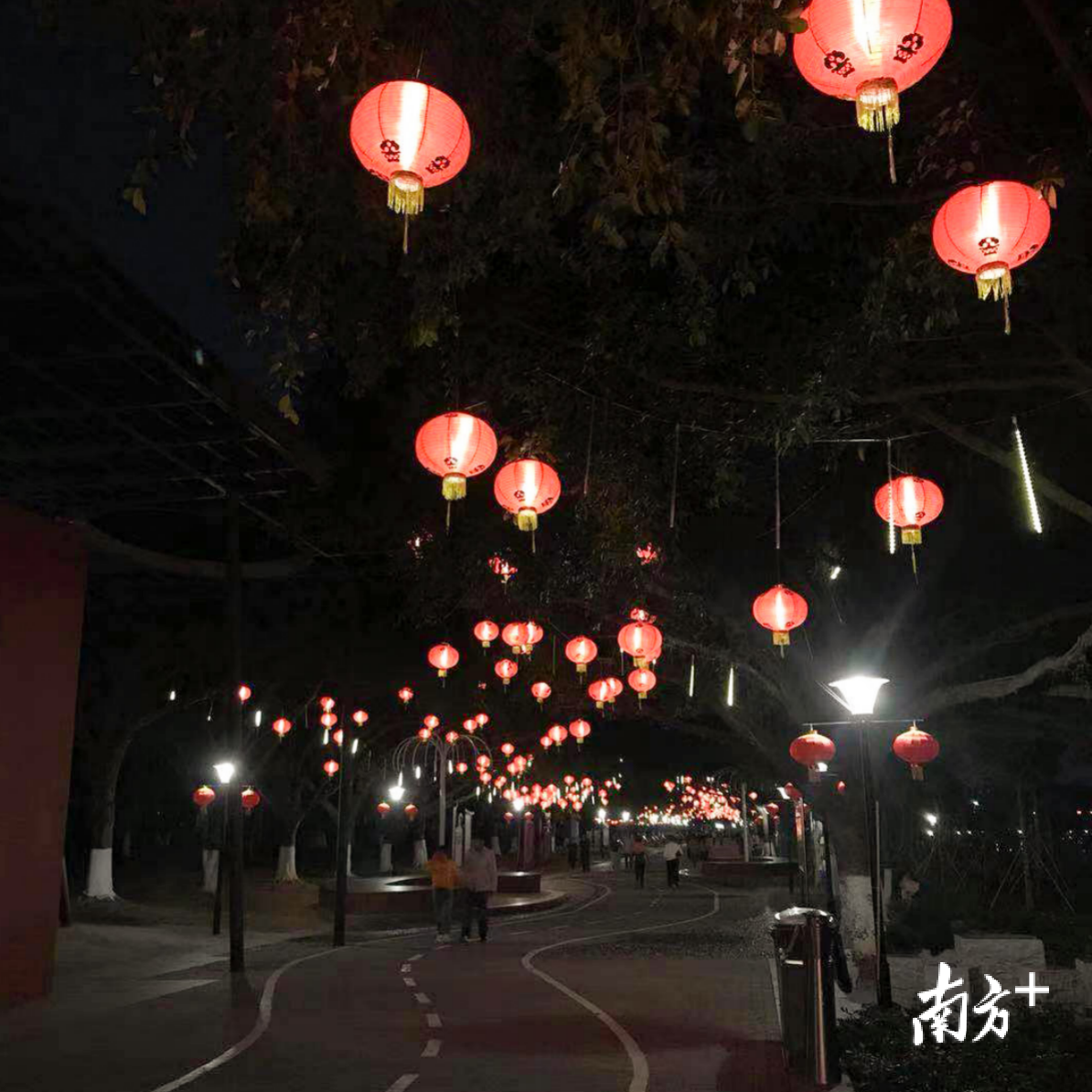 灯(张雪茹) 灯(张雪茹)