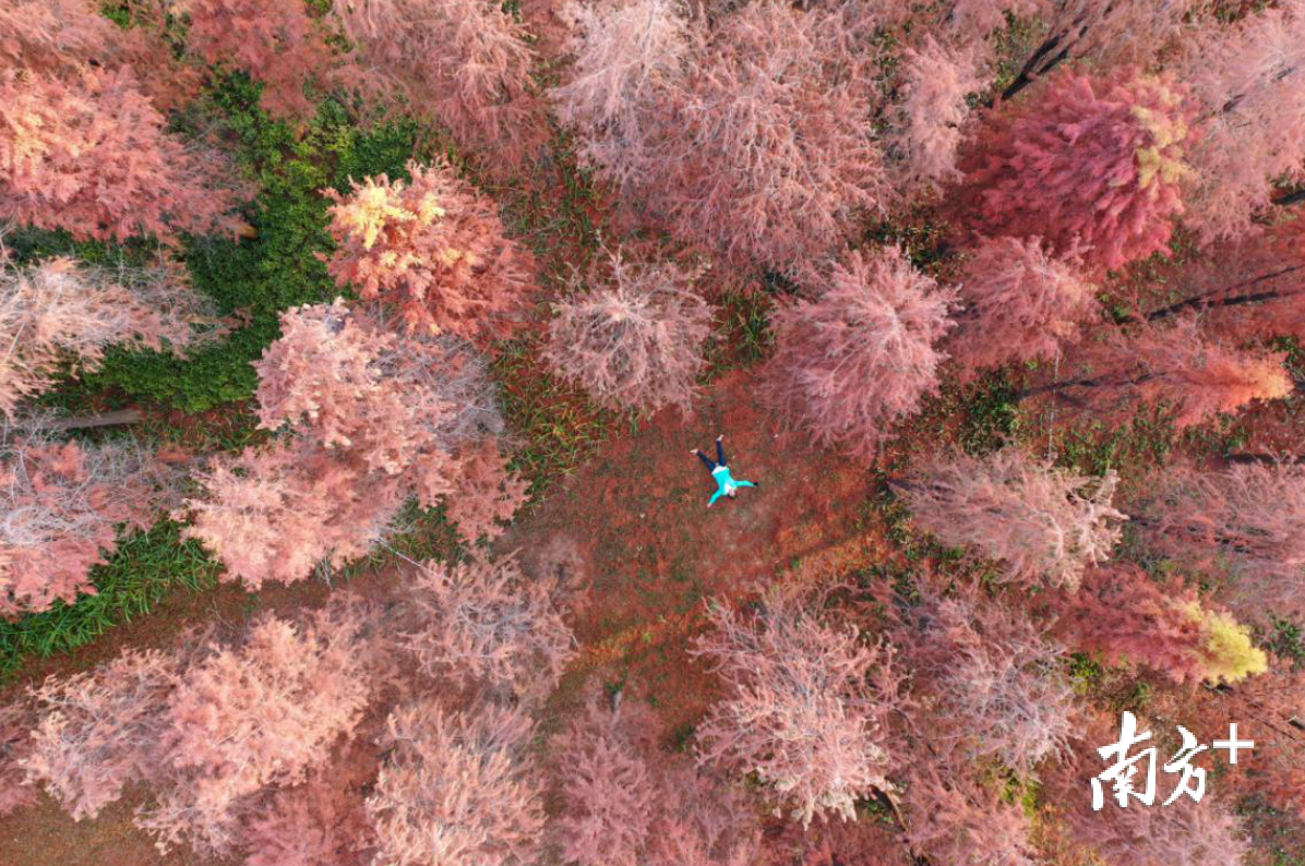 沉醉在美景里(关艳姬) 沉醉在美景里(关艳姬)