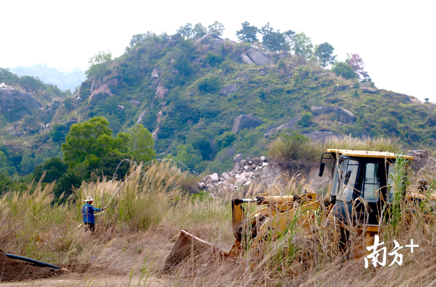 昔日的垃圾临时堆放场现已复绿。纪金娜 摄 昔日的垃圾临时堆放场现已复绿。纪金娜 摄