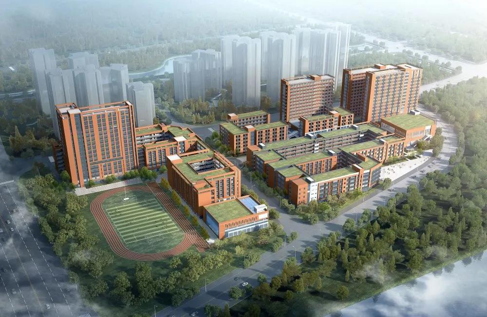 乐从第一实验学校。