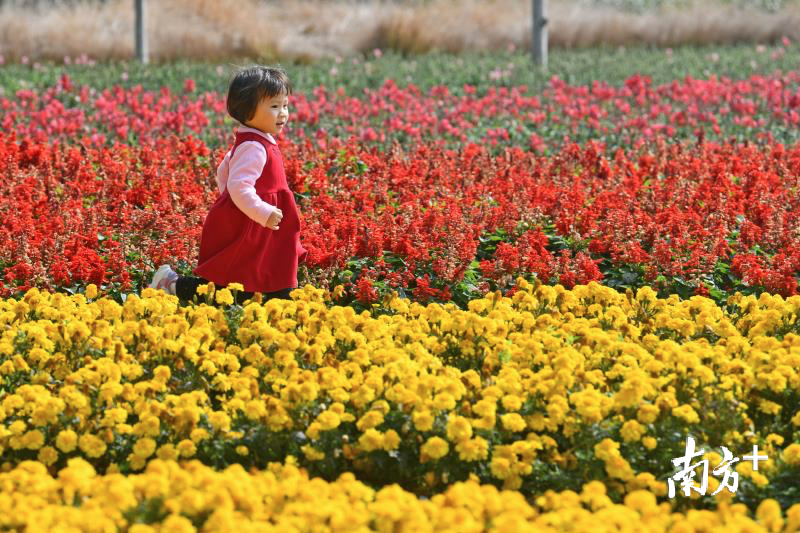 禅城还将致力推动“亚艺-文华”双园整合提升，打造城市中央会客厅。