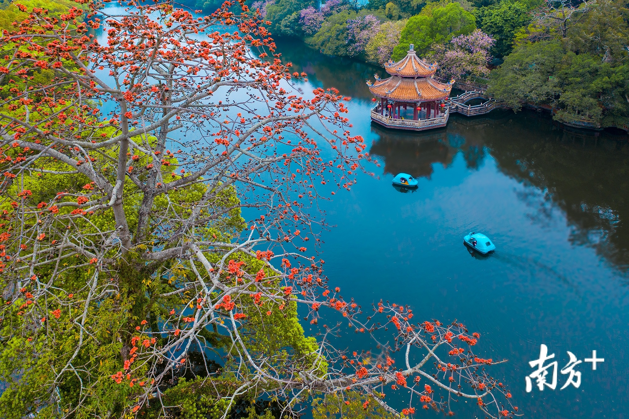 西湖公园，游船嬉戏。林文强 摄