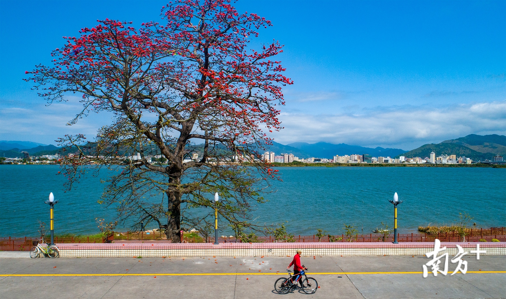 匆匆过客。林文强 摄