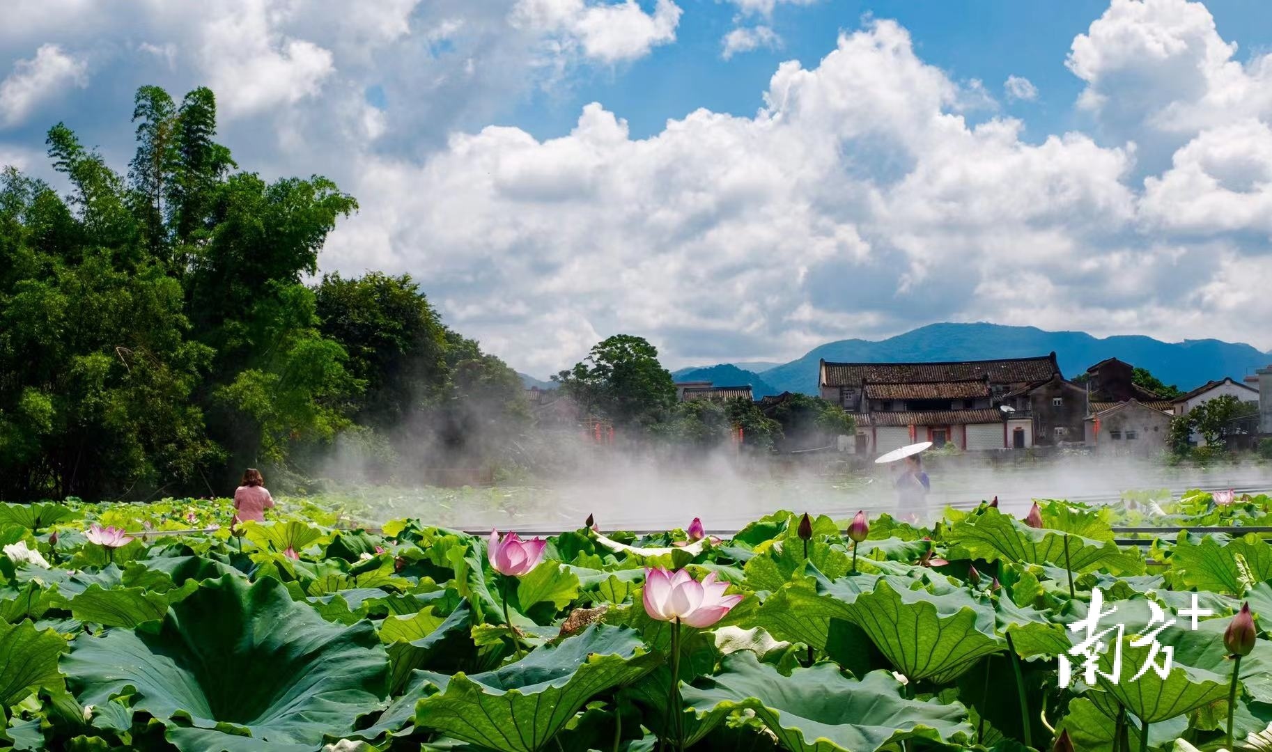 狮峰村的休闲旅游网红地——白鹭湖。余利兴 摄