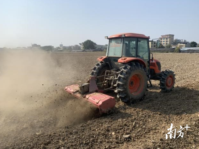 拖拉机在田地里犁地。叶彤 摄