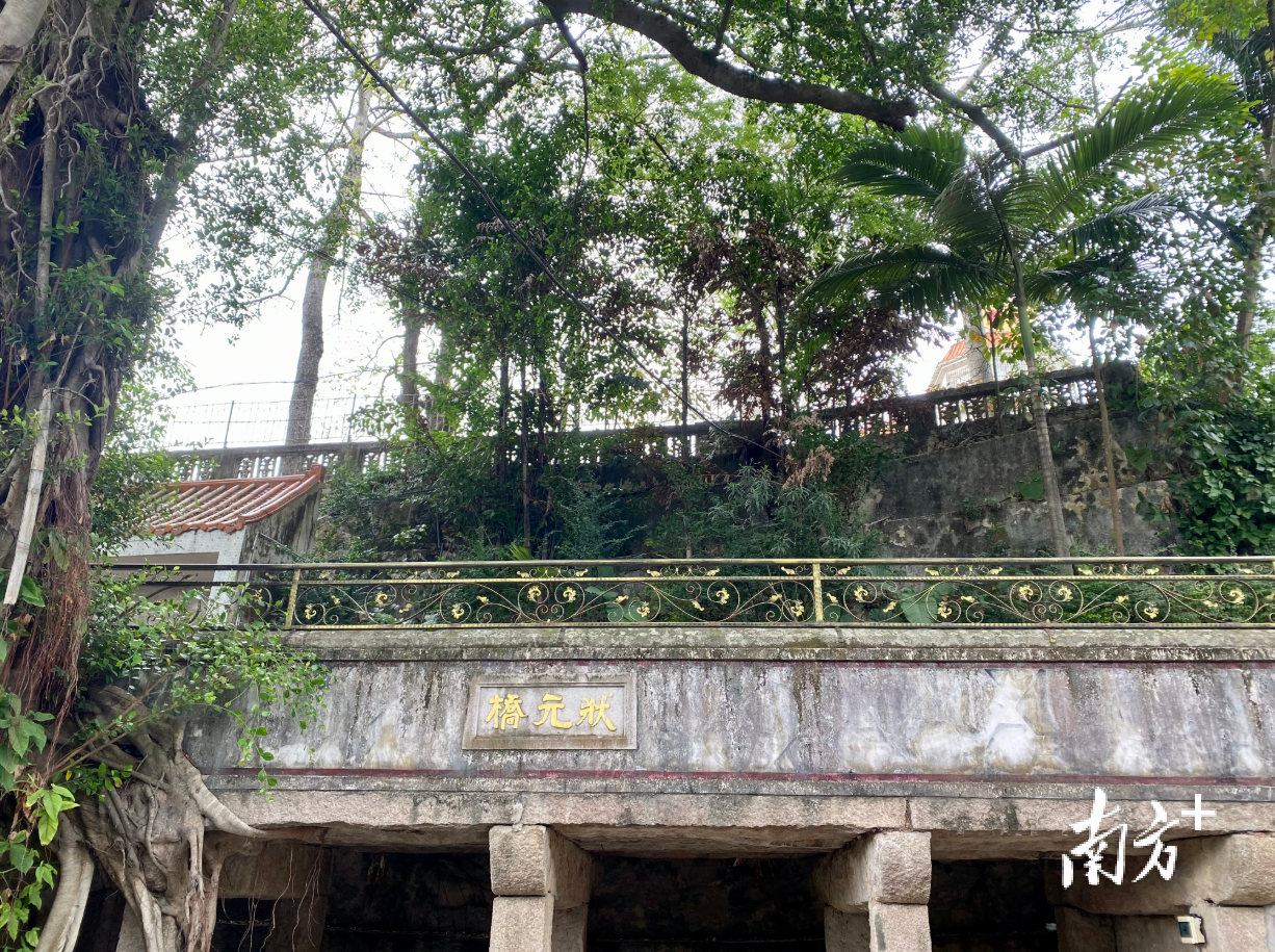 金山实验学校千年园内的状元桥。肖燕菁 摄