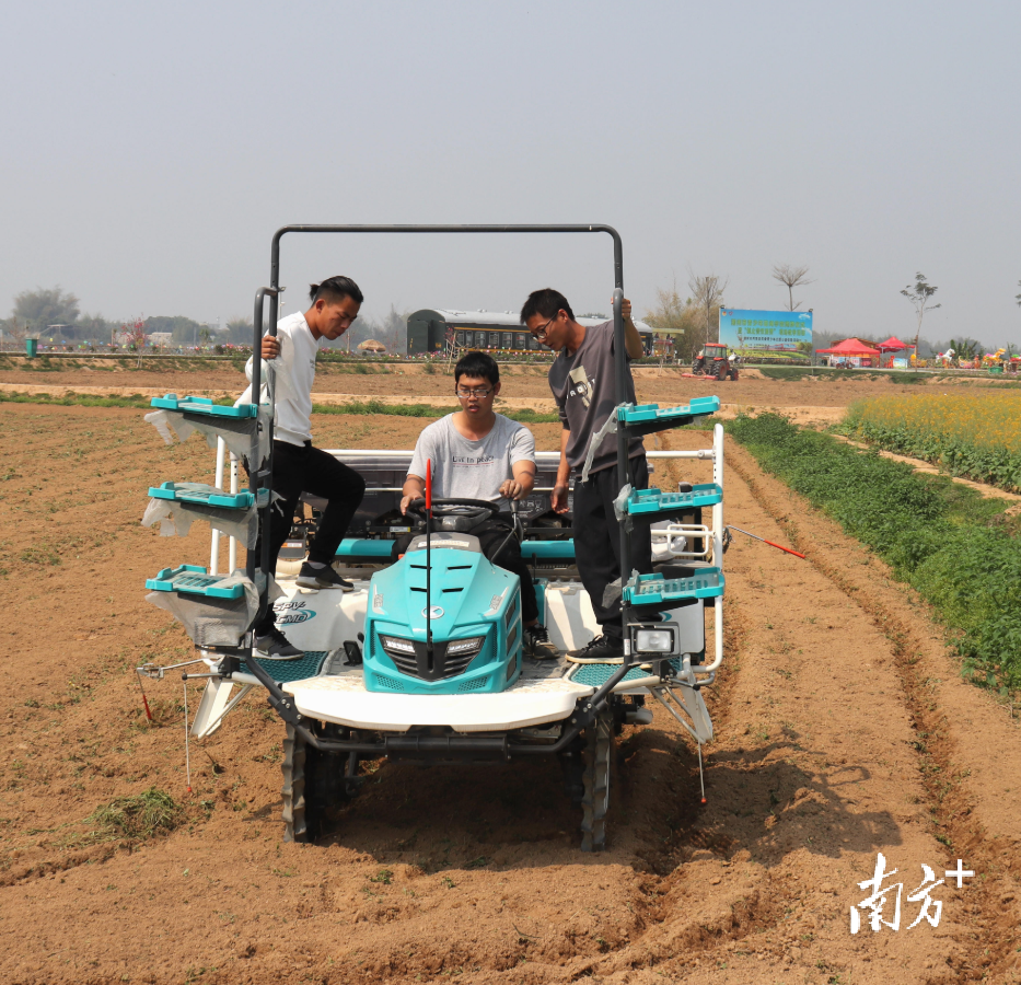 技术员向合作社农机手讲解高速插秧机状态检查与使用的技术要点。叶彤 摄