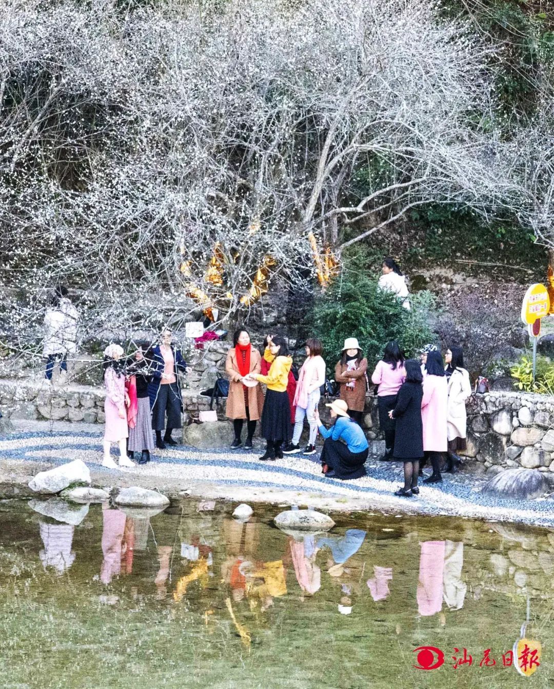 水唇螺洞世外梅园风光惹人醉。 水唇螺洞世外梅园风光惹人醉。