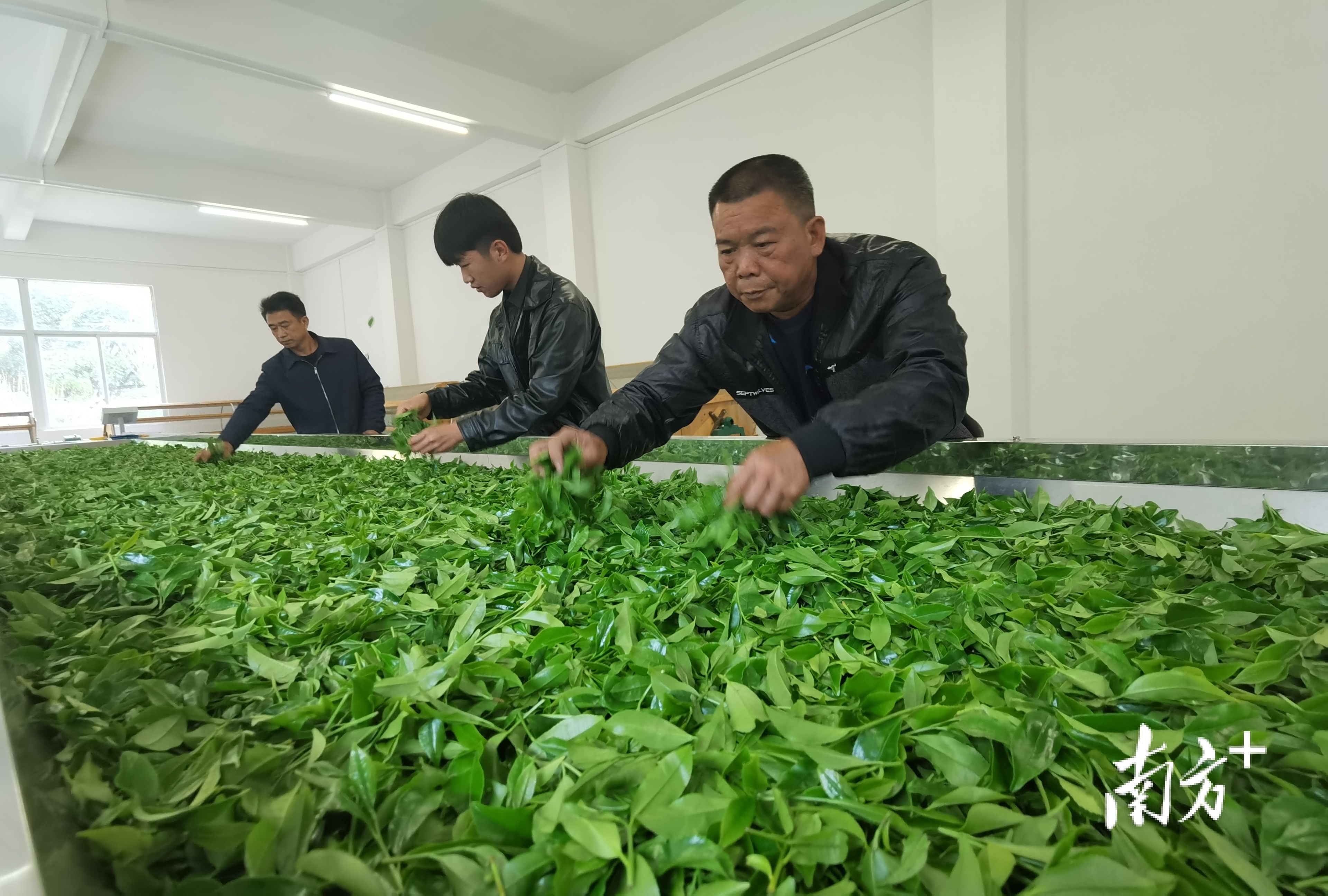 全国脱贫攻坚先进集体潮州市委办公室驻饶平县浮滨镇黄正村扶贫工作队