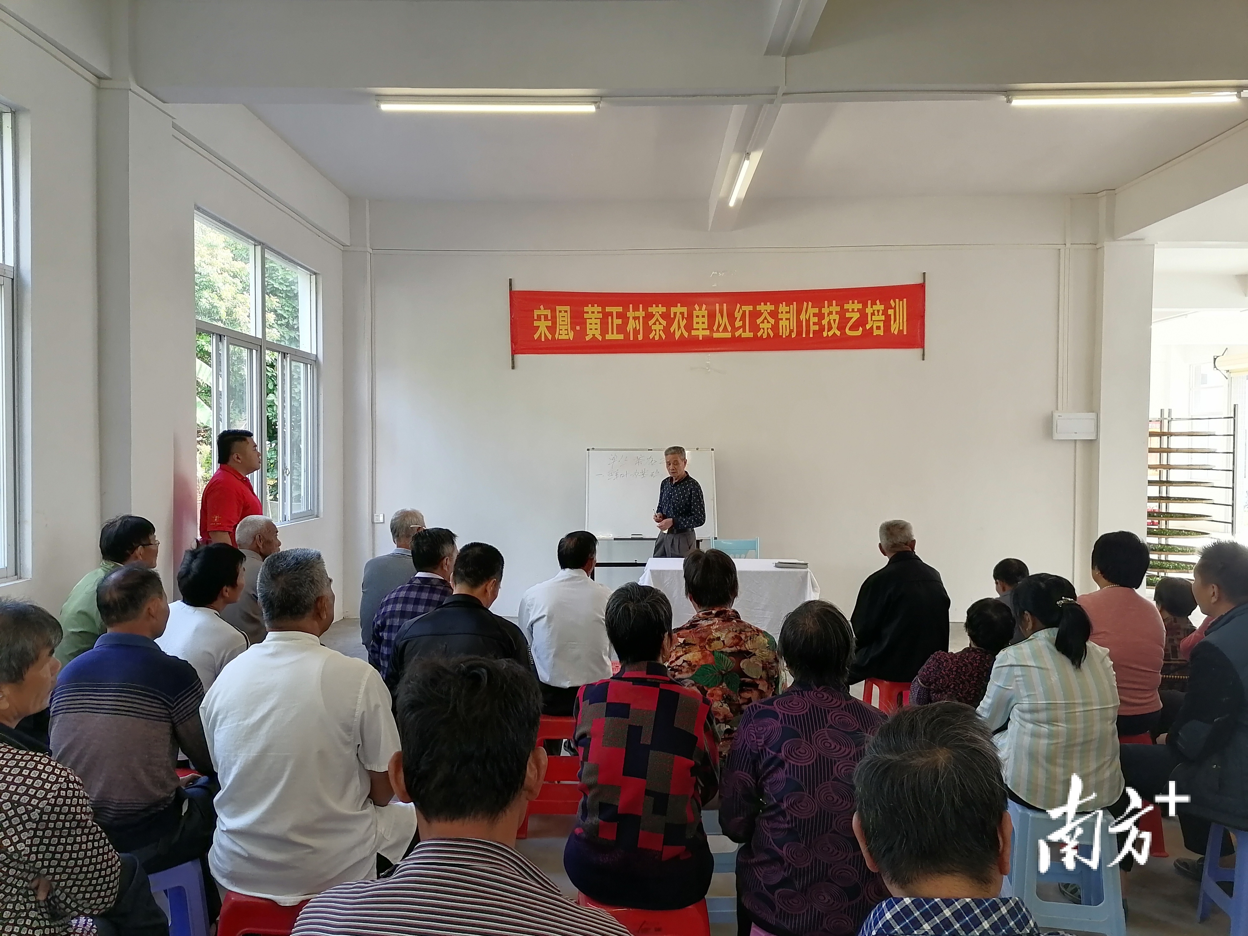 黄正村举行单丛红茶制作技艺培训。