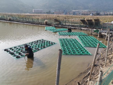 碧沃丰：强化产学研，颠覆旧技术｜冠军企业·先锋引领㉚