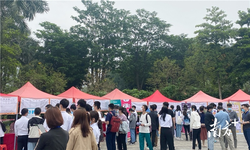 招聘会现场，毕业生在挑选心仪岗位。