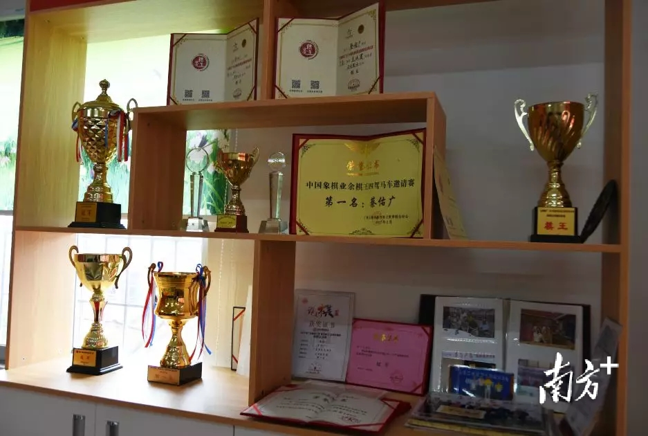 征战中国象棋界20余年,蔡佑广获奖多多。 受访者供图 征战中国象棋界20余年,蔡佑广获奖多多。 受访者供图