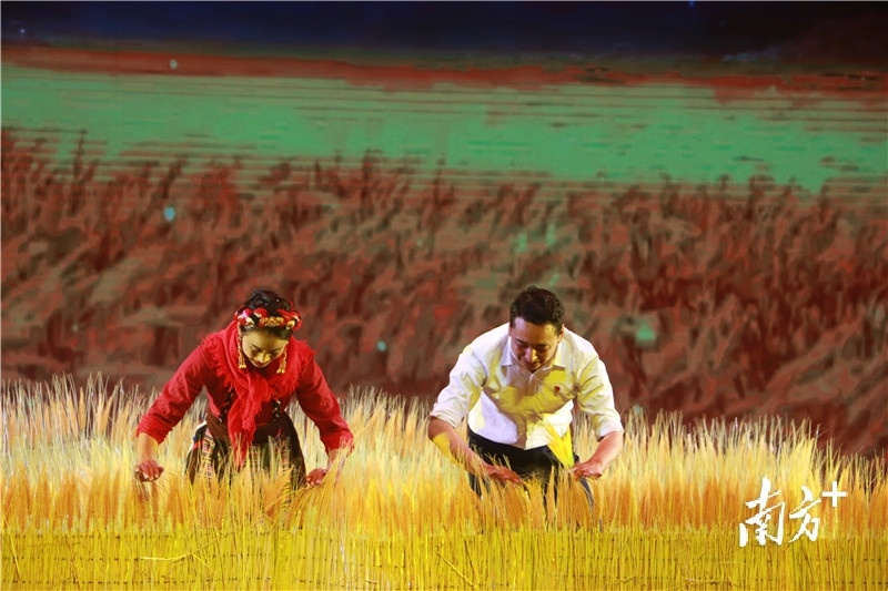 男女群舞节目《援藏人》 男女群舞节目《援藏人》