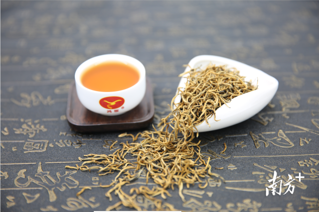 英红九号金毫茶。