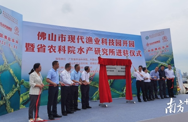3月31日,佛山市现代渔业科技园开园暨广东省农科院水产研究所进驻仪式活动在顺德区乐从镇上华村举行。 3月31日,佛山市现代渔业科技园开园暨广东省农科院水产研究所进驻仪式活动在顺德区乐从镇上华村举行。