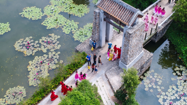 “丰”狂刷屏！看广东各地花式庆丰收