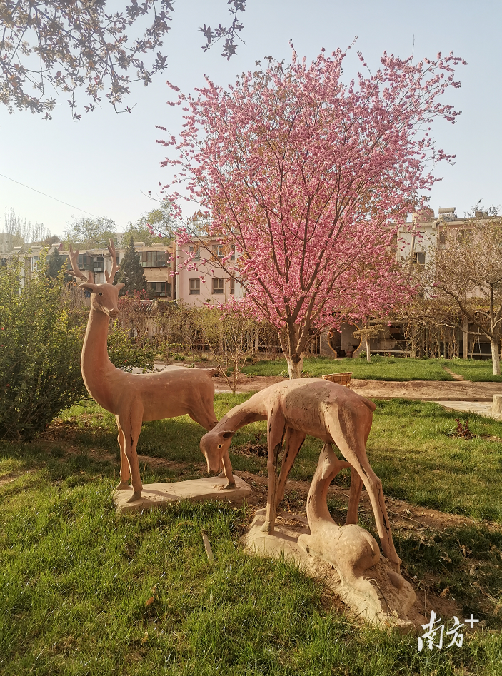 校园家属院一角。 校园家属院一角。