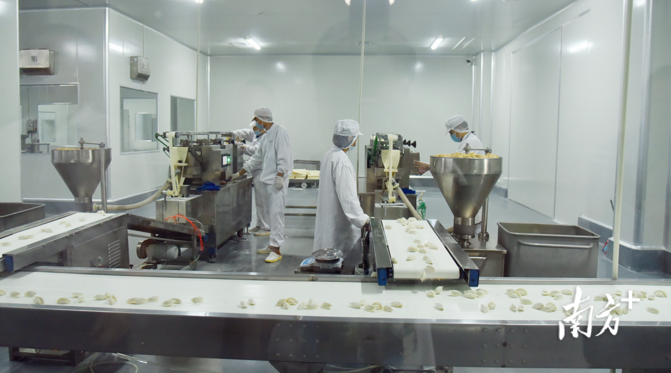 在沙县小吃产业园的“中央厨房”中，原材料经过全自动生产线后，“吐”出一个个标准化蒸饺。受访者供图